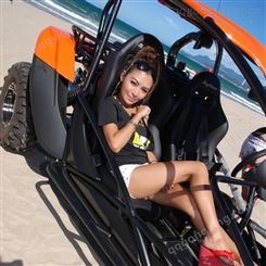Argo全地形车水陆两栖车 沙滩车价格 全地形沙滩摩托车