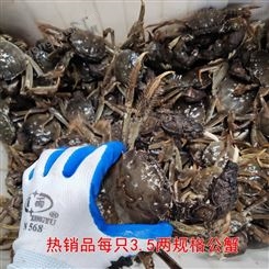 潜江螃蟹批发中规格每只3.5两规格公蟹11月11号28元每斤