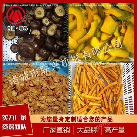 联兴香菇脆 秋葵脆生产设备 真空油炸机 果蔬脆加工设备