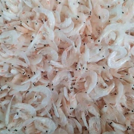 新鲜虾皮 即食海鲜干货 散装小虾米 海米 鲁滨海产