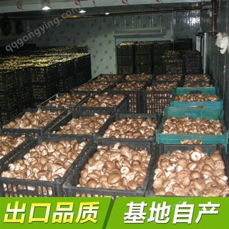 速冻IQF 香菇 蘑菇整，块，丝， 成品半成 品原料供应，调理食品