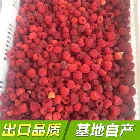 速冻冷冻红树莓 整个碎覆盆子 酸奶冰淇淋罐头果酱 烘焙果汁