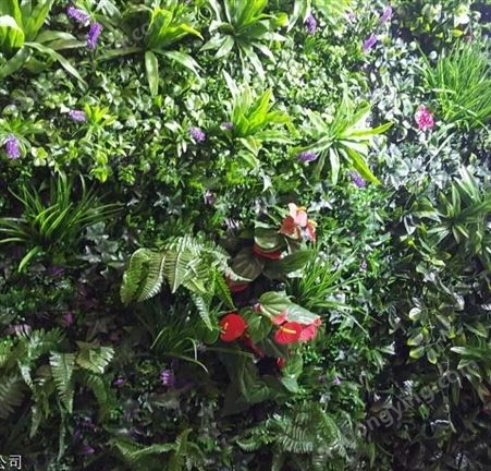 西安植物墙 立体绿化 垂直绿化 优质仿真绿植墙植物种类丰富