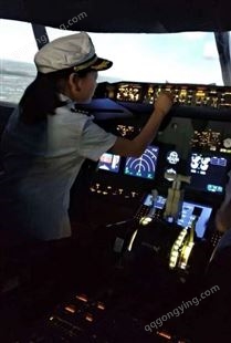 雅创 模型飞机飞行模拟器 科技馆 出租737飞行模拟装置