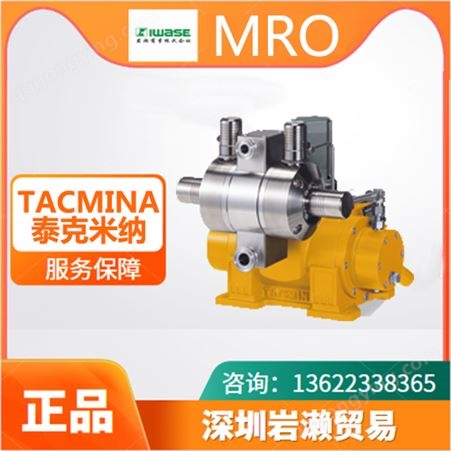 大型容量电动计量泵GPL-150-9 日本TACMINA泰克米纳