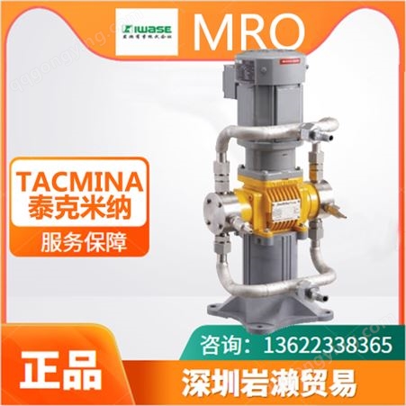 大型容量电动计量泵GPL-150-9 日本TACMINA泰克米纳