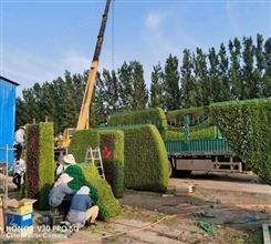 轩昂温室园艺 立体花坛 绿雕景观 节日造型 节庆雕塑