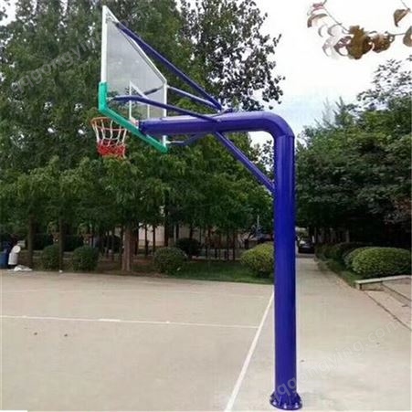 箱式户外标准篮球架 儿童可升降篮球架子 篮筐 篮板 泰昌供应