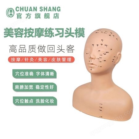 C30/S60CHUANSHANG带穴位美容按摩头模 面部按摩练习皮肤管理假人头模型