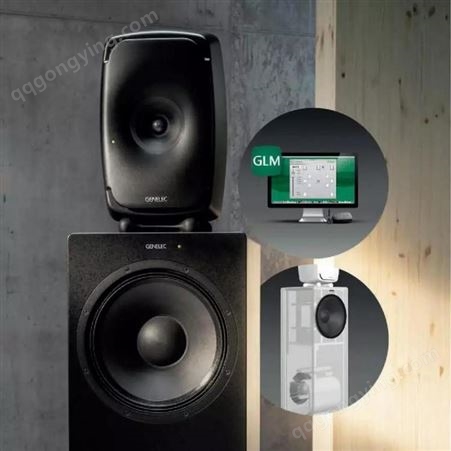 真力音响 母带低音系统 录音棚 超低音音箱 GENELEC W371A