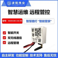 凌阳伟业NB-IoT物联网太阳能路灯MPPT控制器MA4S100-15A-NB