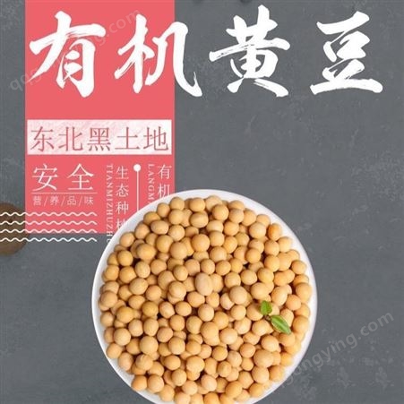 黄豆批发 东北黑龙江大豆厂家出厂价格 2021年黄大豆 豆浆原料~和粮农业