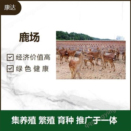 大角鹿 科学养殖 成活率高 集养殖 繁殖 育种 推广于一体