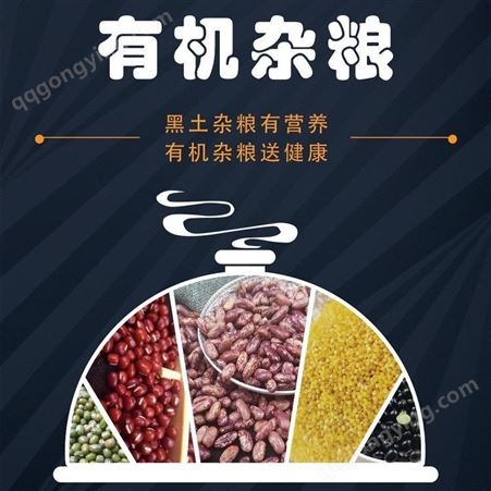 黄豆批发 东北黑龙江大豆厂家出厂价格 2021年黄大豆 豆浆原料~和粮农业