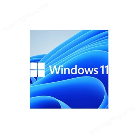 微软正版 Windows11 操作系统 专业版 多语言