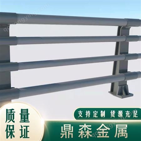 不锈钢护栏 灯光河道防护 公园防撞栏杆 天桥隔离围栏 鼎森金属