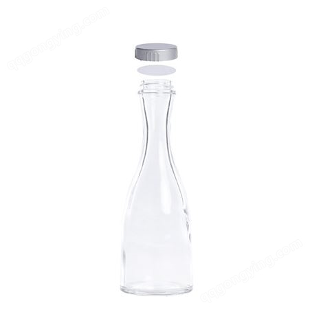 鸿皓批发磨砂青梅自酿酵素玻璃白酒瓶空瓶饮料瓶定制