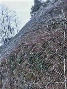 主动防护网 华瑞山坡挂网用于高速公路坡面防止落石