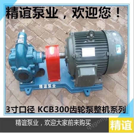 高温电动齿轮泵KCB18.333.35583.3自吸泵齿轮油泵液压油泵整机