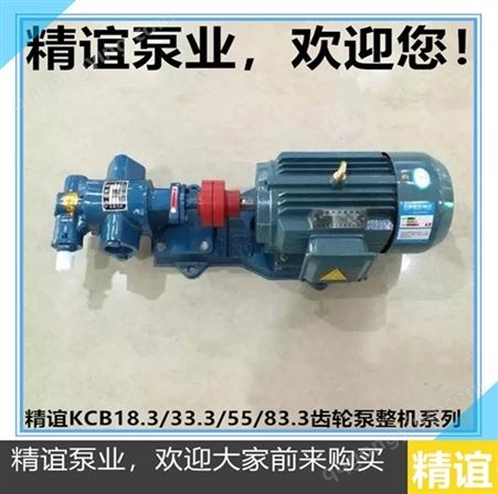 高温电动齿轮泵KCB18.333.35583.3自吸泵齿轮油泵液压油泵整机