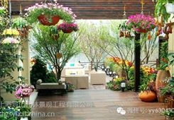 上海宝山草坪屋顶绿化绿化养护案例