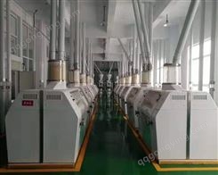 200吨面粉磨面磨粉加工成套设备全自动小麦磨粉机械设备流水线