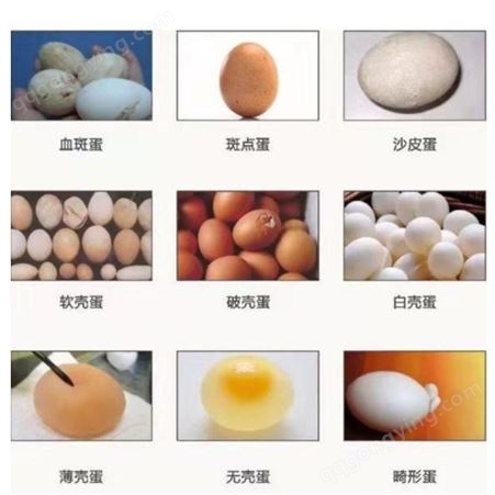 发酵辣椒粕预防蛋鸡冬季产蛋量 鸡用发酵辣椒粕