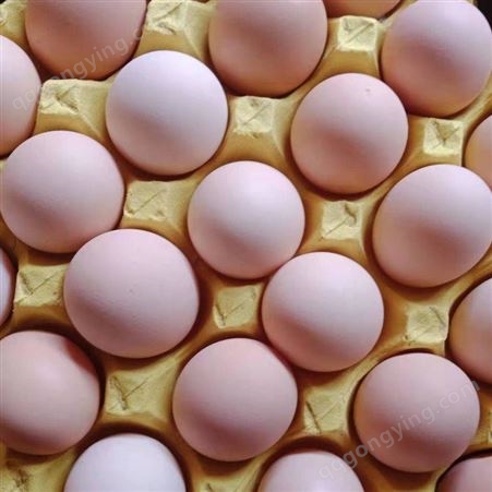 发酵辣椒粕预防蛋鸡冬季产蛋量 鸡用发酵辣椒粕