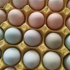 蛋鸡辣椒油粉提高产蛋率 蛋鸡辣椒油粉养殖增效益