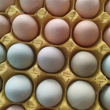 蛋鸡辣椒油粉提高产蛋率 蛋鸡辣椒油粉养殖增效益