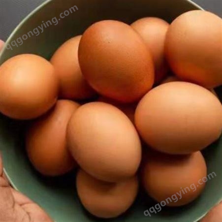 蛋鸡辣椒油粉代替豆油 豆粕 蛋鸡辣椒油粉厂家让养殖降低成本