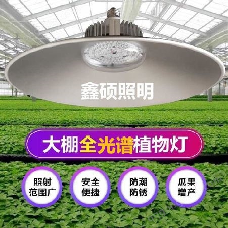 XSGK-50咨询订购LED植物生长灯 LED全光谱植物生长灯 定制植物生长补光灯