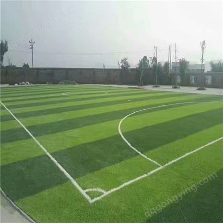 人造草坪 贵州人造草坪足球场铺设