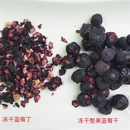 厂家批发蓝莓干冻干 冻干蓝莓颗粒散装果干果丁网红零食水果干