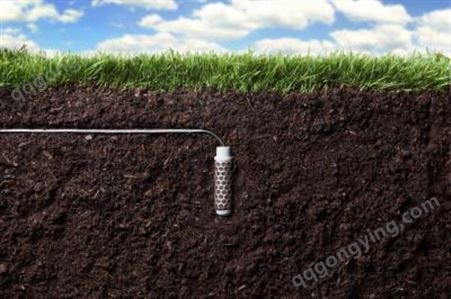 美国亨特SOIL-CLIK土壤湿度传感器  美国亨特传感器