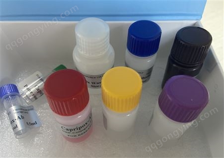 小鼠白介素ELISA酶联免疫检测试剂盒