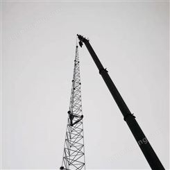 GJT独立避雷针厂家  30米避雷针塔 三角圆钢避雷针塔 工厂直供