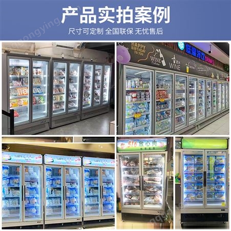冰达仕 立式冷冻柜 超市海鲜水饺包子雪糕速冻柜 商用冷藏柜
