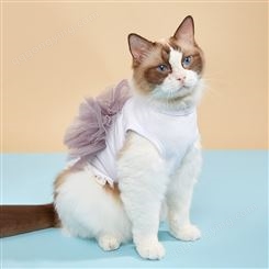 跨境春夏新款猫咪服饰舒适透气围纱蕾丝裙时尚公主宠物衣服