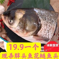 新鲜大鲢鱼头现杀白鲢鱼胖头鱼鱼头鲢花鳙鱼大头鱼剁椒鱼头性价高