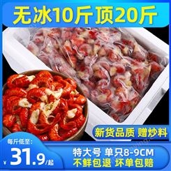 龍蝦尾冷凍生鮮特大級無冰衣商用整箱10斤小龍蝦尾大號生蝦球