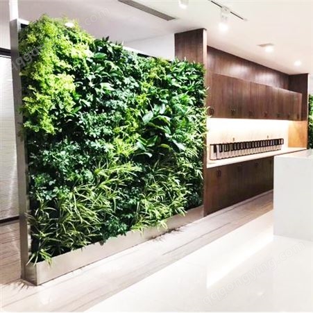 室内墙体绿化 植物墙种植容器 墙面景观绿植盒子提供安装