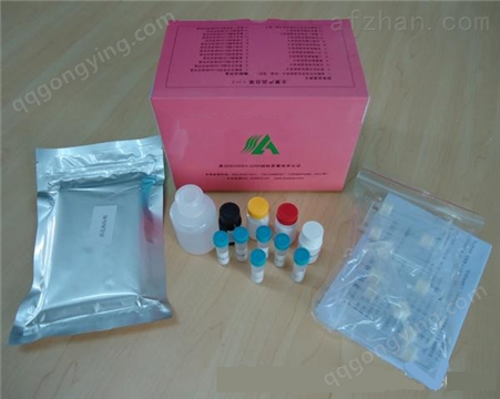 小鼠白介素1β（IL-1β）检测试剂盒