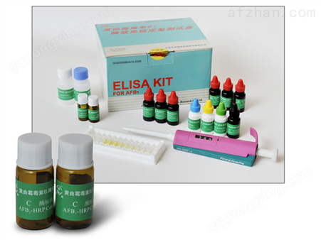 人肽-主要组织相容性复合体复合物（pMHC）ELISA试剂盒