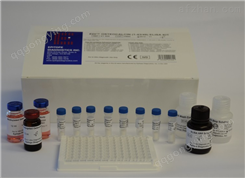 人缓激肽（BK）ELISA试剂盒